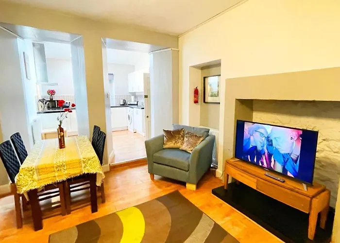 Catcune Studio Suite